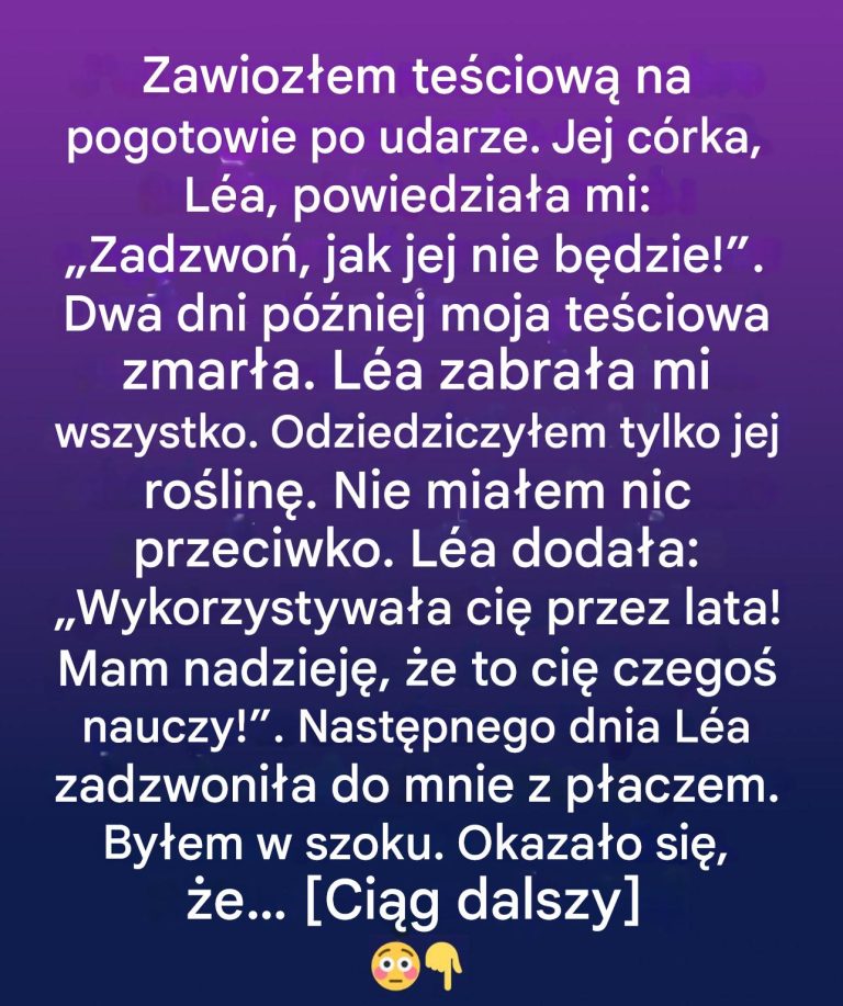 Nieoczekiwany spadek: ukryta wartość skromnej doniczki