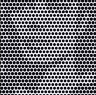 99% ludzi nie potrafi rozpoznać twarzy ukrytej na zdjęciu!