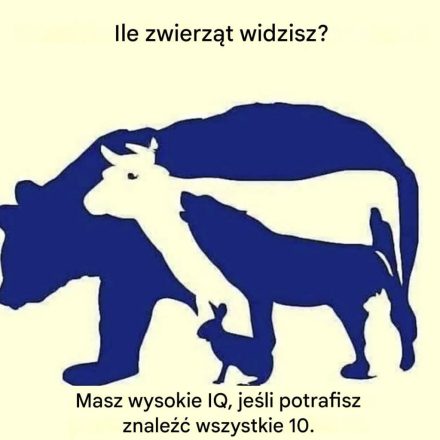 Czy potrafisz znaleźć 10 zwierząt na obrazku?