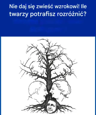 Ile twarzy ukrytych na tym drzewie widzisz?
