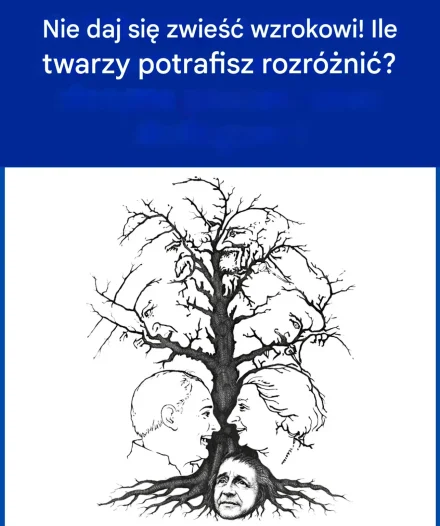 Ile twarzy ukrytych na tym drzewie widzisz?