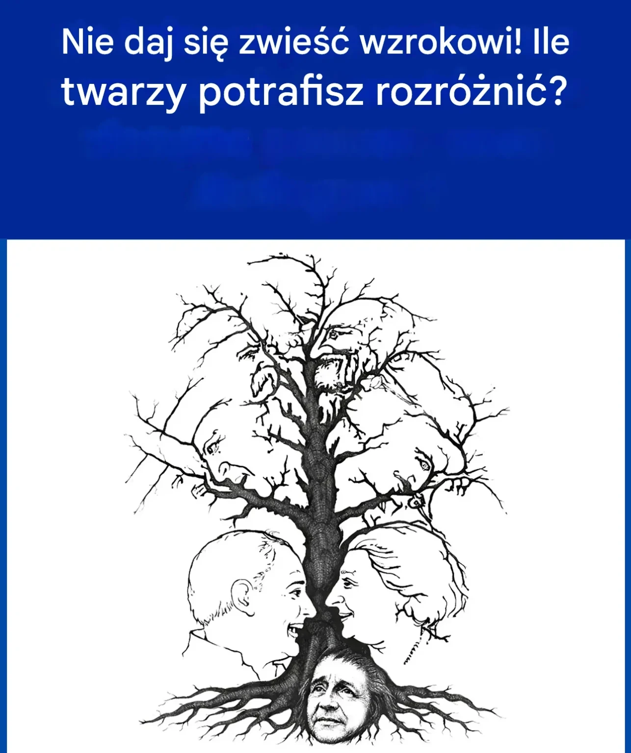 Ile twarzy ukrytych na tym drzewie widzisz?