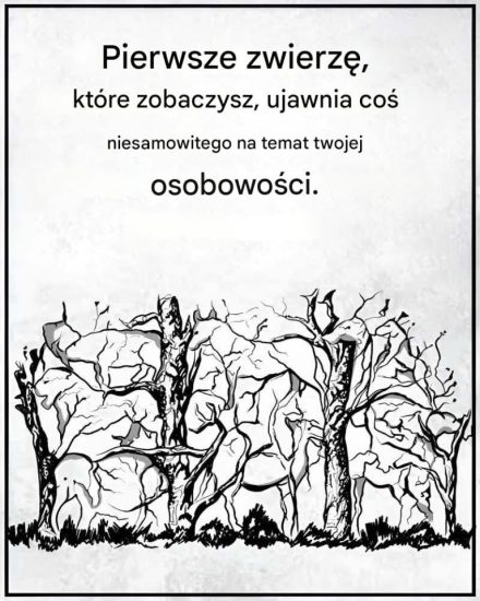 Pierwsze zwierzę, które zobaczysz, powie coś o Twojej osobowości.