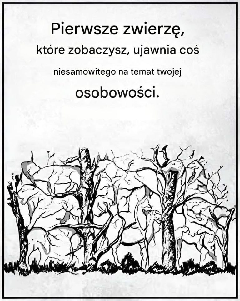 Pierwsze zwierzę, które zobaczysz, powie coś o Twojej osobowości.