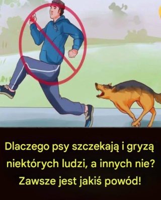 Dlaczego psy szczekają i gryzą jednych ludzi, a innych nie? Zawsze jest jakiś powód!