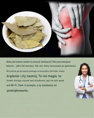 Żegnaj bólowi kolan: Herbata z liści laurowych, którą pijesz na gorąco w Meksyku i pokonujesz 3 km bez kul!