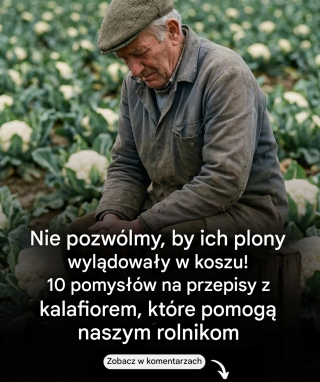 Nie pozwólmy, by ich plony się zmarnowały! 10 przepisów na kalafior, które pomogą naszym rolnikom