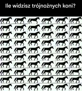 Ile widzisz trójnożnych koni?
