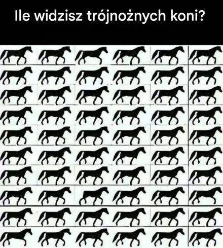 Ile widzisz trójnożnych koni?