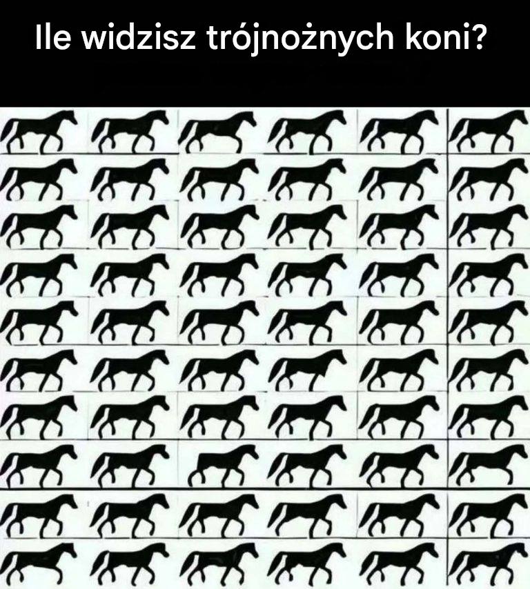 Ile widzisz trójnożnych koni?
