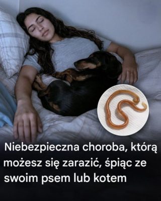 Spanie z psem lub kotem: co tak naprawdę zagraża Twojemu zdrowiu