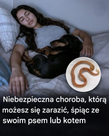 Spanie z psem lub kotem: co tak naprawdę zagraża Twojemu zdrowiu
