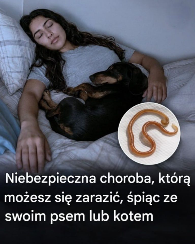 Spanie z psem lub kotem: co tak naprawdę zagraża Twojemu zdrowiu