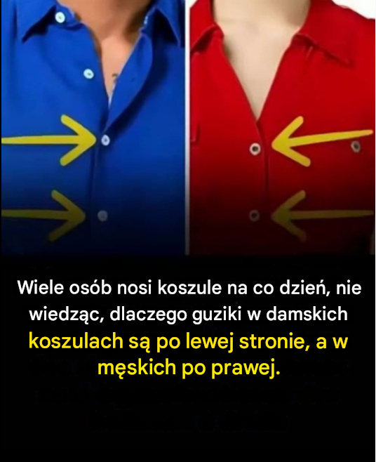 Dlaczego guziki w męskich i damskich koszulach są umieszczone po przeciwnych stronach?