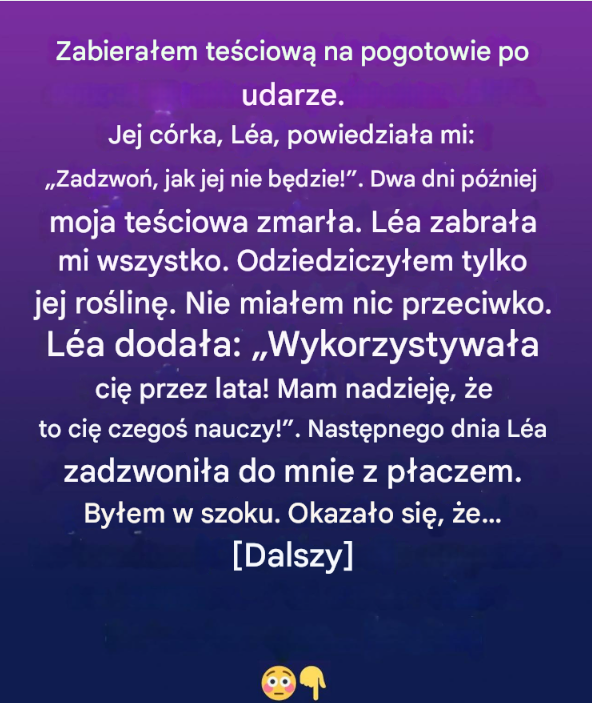 Nieoczekiwana pamiątka: ukryta wartość skromnej doniczki