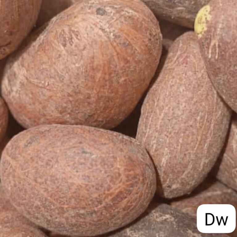 10 DOBRYCH POWODÓW, BY JEŚĆ PETIT COLA