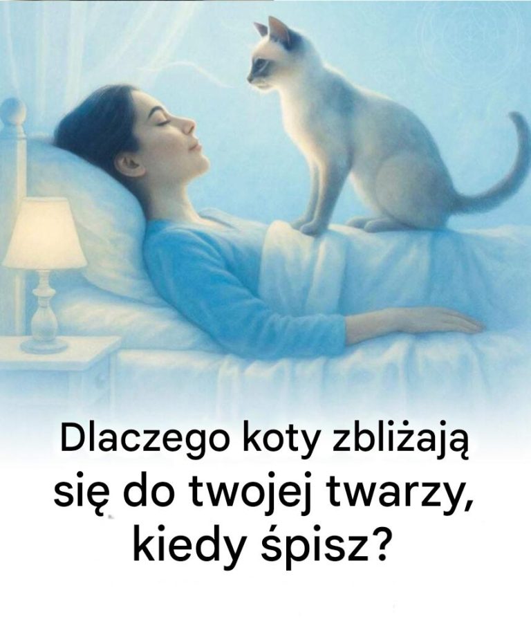 Dlaczego koty zbliżają się do twojej twarzy, kiedy śpisz?